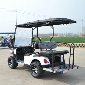 72V Li-ion Battery Electric Golf Cart