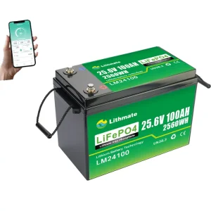 High-Quality Deep Cycle Lithium Battery 24V 100Ah