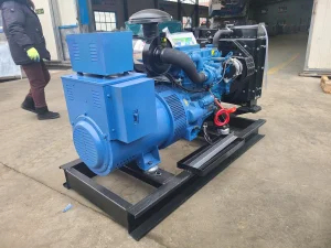 Grupo Generador de Motor Diésel para Necesidades de Energía Principal y de Respaldo