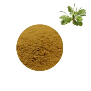 Natural Plantain Seed Extract powder