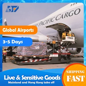 China Cheap Air Sea Freight International Express Shipping From China to Jeddah Europe UK Spain France Italy with Shipping Forwarding Agent