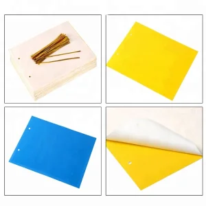 Insect Killer Garden