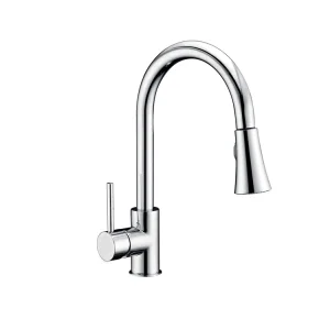 Single Lever Water Tap Swivel Spout Brass Pull out Kitchen Faucet