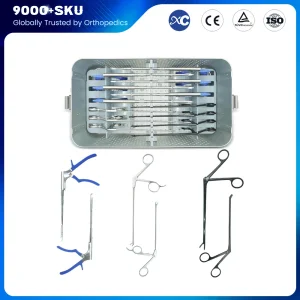 Biportal Endoscopic Spine