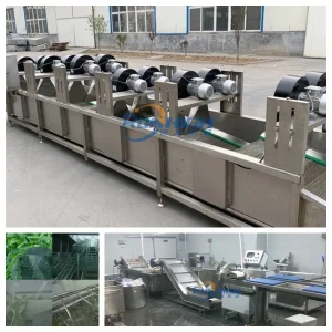 Bag Cleaning and Drying Line Also Used for Fruit and Vegetables