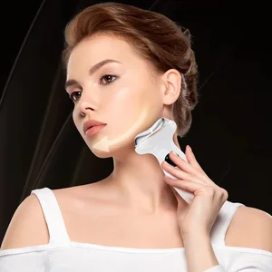 Microcurrent Face Neck Lifting Massage Device