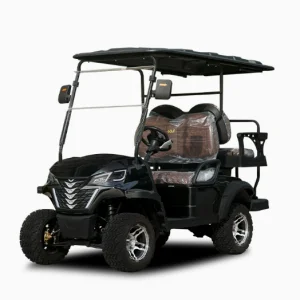 Luxury 4 Seater Electric Golf Cart 3500W-7500W