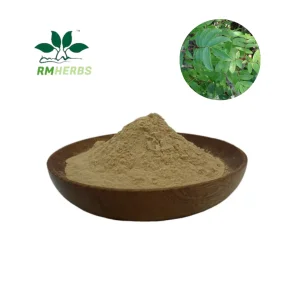 Pó de Extrato de Planta Pó de Folha de Sabugueiro Antioxidante Natural Aumentar