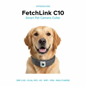 Colar de Choque Inteligente Bluetooth Personalizado para Cães Golden Retriever