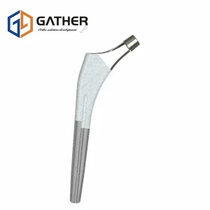 Prosthetic limb sterilization