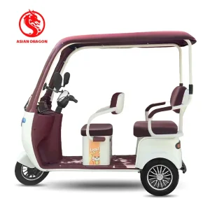 China All-Weather Enclosed Electric Trike
