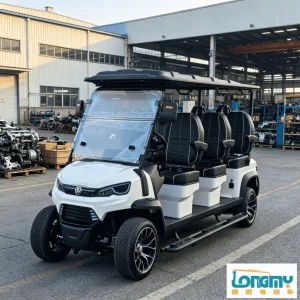 70-85km Long Range 6 Person Golf Course Cart