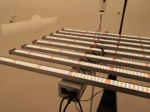 Spider Farmer 1000W 1200W LED Grow Light Vertical Farming