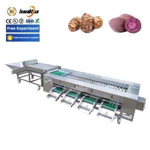 1-2t/H آلة تصنيف البصل والتفاح وآلة تصنيف الأفوكادو والبرتقال