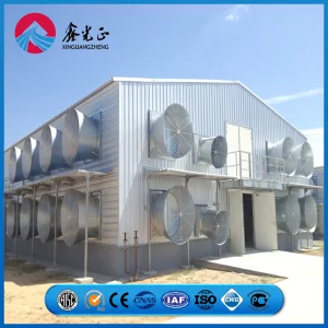 Nigeria Steel Structure Poultry Farm Building Modular Prefabricated/Prefab Chicken House