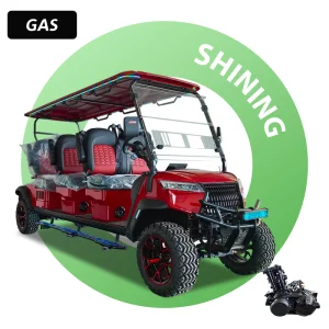 6 Seater Gasoline Cart
