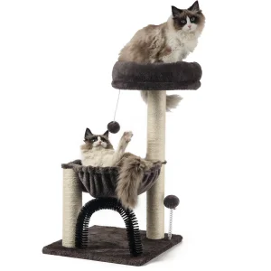 China 2023 Cat Climbing Tree
