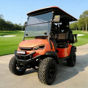 OEM Golf Cart Manufacturing
