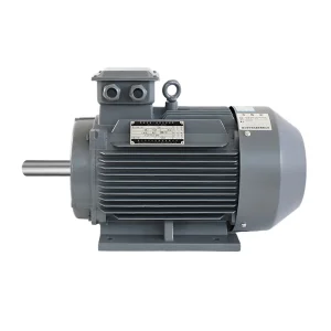 Variable Pole Motor