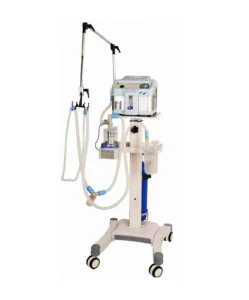 Gold Bubble CPAP