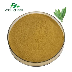 Standardized Olive Leaf Extract for Functional Foods &amp; Supplements with HPLC Tested Oleuropein Extract Powder