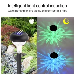 Landscape Solar Light