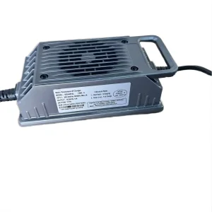 36V 25A Hot Selling Motorcycle Car Pulse Repair Battery Charger for Lithium Battery
