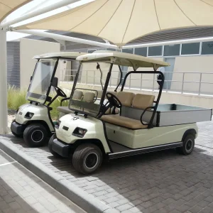 Battery 2 Seat Electric Sightseeing Bus Golf Cargo Car Cart (Lt-A2. H8)