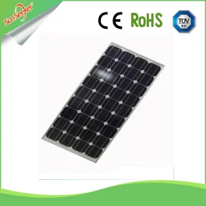100W Panel con 10m Cable