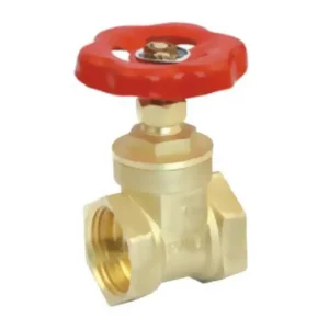 Brass Spring Check Valve Manila