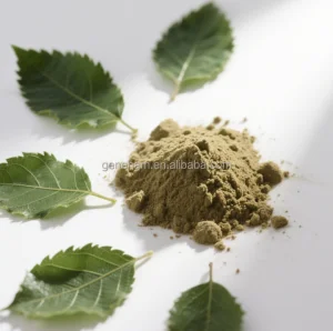 Mulberry Leaf