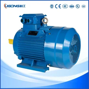 Ie3/Ie4/Ie5 Efficiency Three-Phase Asynchronous Electric AC Motor Induction Competitive Price
