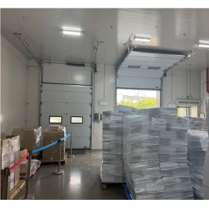 Electric Sliding Door