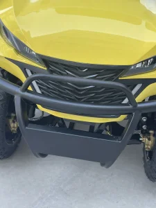 Stong Power Long Distance Electric Golf Cart