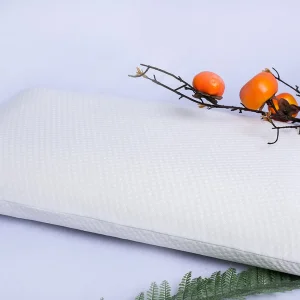 Modern Decorative Throw Pillow