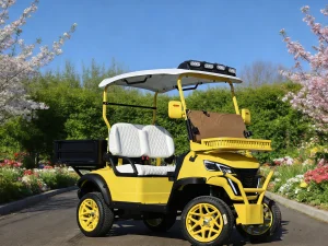 BFF Kepler Electric Mini Truck 2 Seater Customized Scooter Golf Cart Cargo Bed Electric Vehicle Golf Buggy 50-70km/h 70-90km