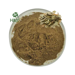 Boldo Leaves Extract Powder