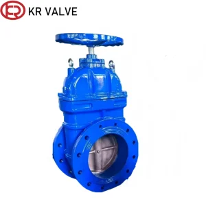 Ductile iron gate valve