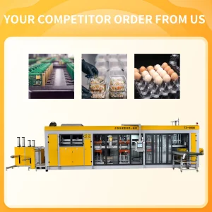 Advanced Thermoforming Making Machine for Clamshell Packaging Solutions