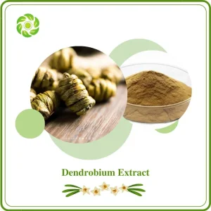 Dendrobium Officinale Extract