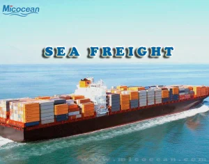 Professional Sea Freight Forwarder