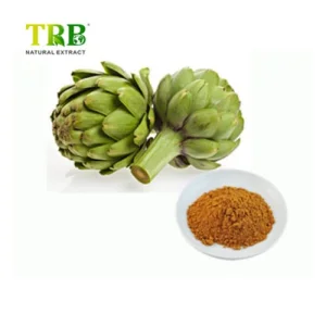 Wholesale Cynarin Powder Manufacturer, Factories