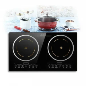4000W Electric Double Stove