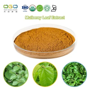 Polvo de Control de Peso Anti Glicación OEM&ODM Dnj 1% -5% Extracto de Hoja de Morera para Control de Peso