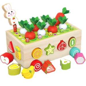 Shape Sorting