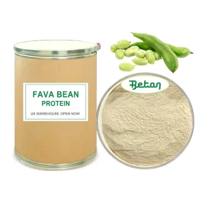 Natural Fava Bean Protein Powder Non-GMO Vegan Bulk