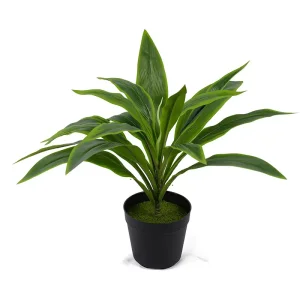 Artificial Plant