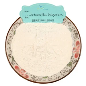 Lactobacillus Bulgaricus Powder