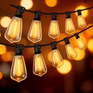 Backyard String Light