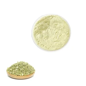 Sophora Japonica Extract Rutin Powder